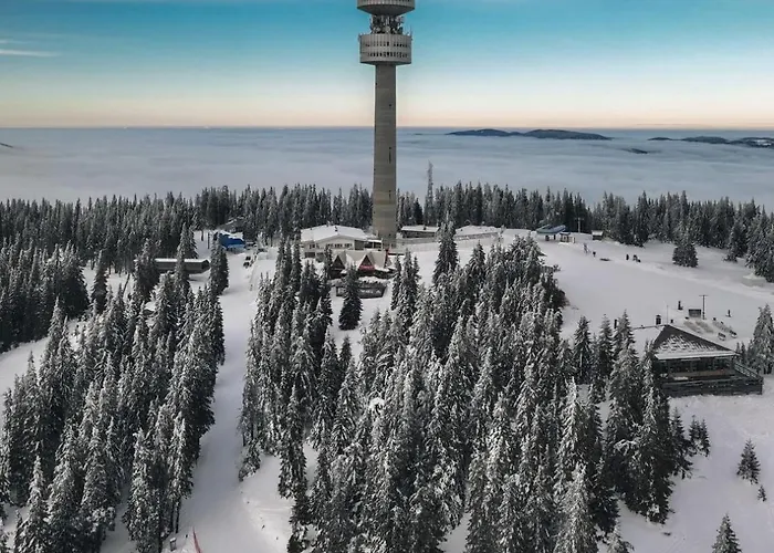 Jmn Lejlighed Pamporovo